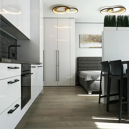 Cohost I Amazing Apt, W-balcony, A-c And Garage Parking, Center Vilnius