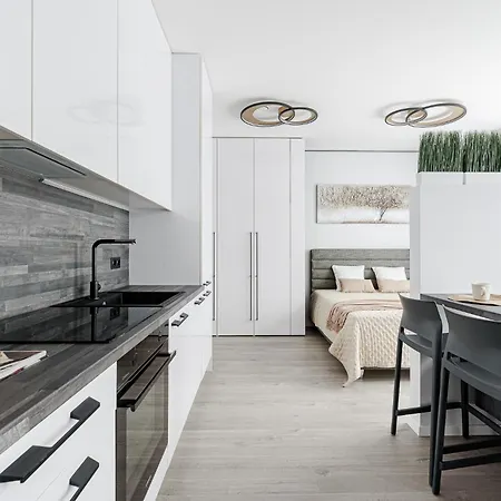 Lejlighed Cohost I Amazing Apt, W-balcony, A-c And Garage Parking, Center